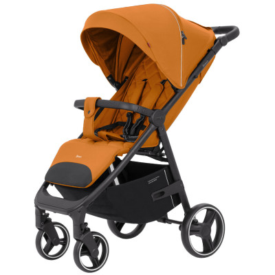 Дитяча прогулянкова коляска Carrello Bravo