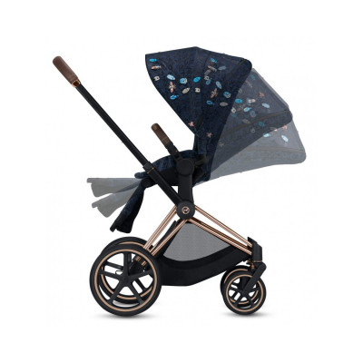 Коляска 2 в 1 Cybex Priam Jewels of Nature