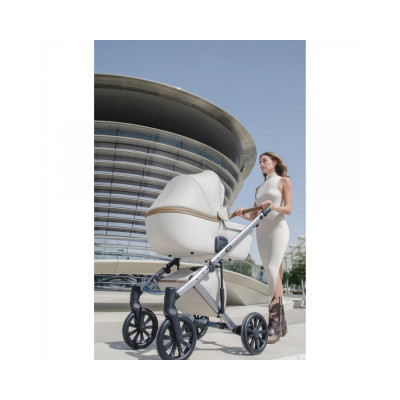 Універсальна коляска 2 в 1 Anex e/type 2023