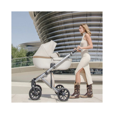 Універсальна коляска 2 в 1 Anex e/type 2023