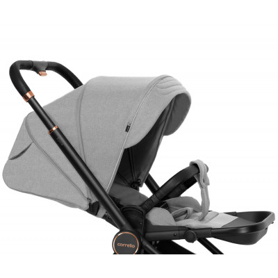 Універсальна коляска 2 в 1 Carrello Epica 2023