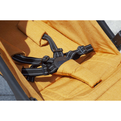 Прогулянкова коляска Carrello Vento CRL-5516