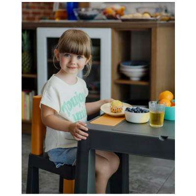 Комплект Teggi Tega Baby столик и два стільчика