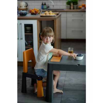 Комплект Teggi Tega Baby столик и два стільчика