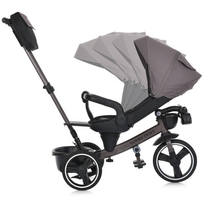 Дитячий трьохколісний велосипед TurboTrike MT 1002