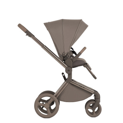 Дитяча коляска 2 в 1 Anex Flo