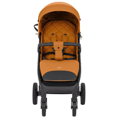 Дитяча прогулянкова коляска Carrello Bravo