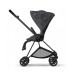 Коляска 2 в 1 Cybex Mios Simply Flowers