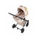 Коляска 2 в 1 Anex e/type x Smiley World
