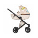 Коляска 2 в 1 Anex e/type x Smiley World