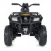 Дитячий електричний квадроцикл Bambi M 4868 (24V)