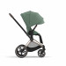 Коляска 2 в 1 Cybex Priam 4.0 2023