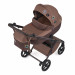 Дитяча коляска 2 в 1 Anex Eli Wander