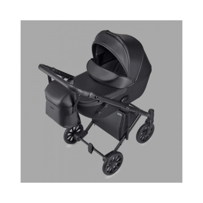 Універсальна коляска 2 в 1 Anex e/type 2023 - Swan