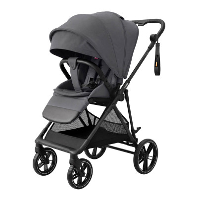 Прогулянкова коляска Carrello Extra CRL-5532 - Chrome Grey