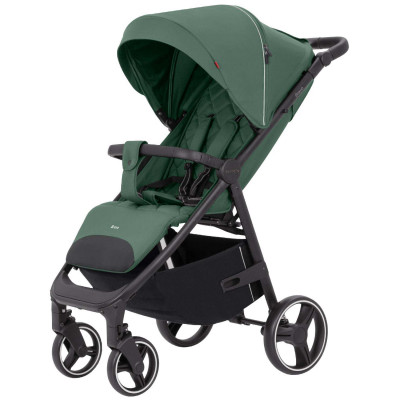 Дитяча прогулянкова коляска Carrello Bravo - Spring Green