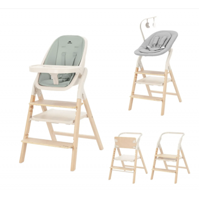 Стільчик для годування Carrello Ergo CRL-16701 - Elora Green
