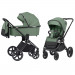 Fern Green